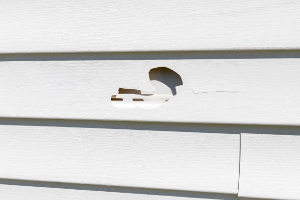 Best Storm Damage Siding Repair  in Vernon Center, NJ