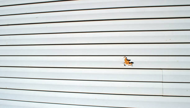 Best Wood Siding Installation  in Vernon Center, NJ